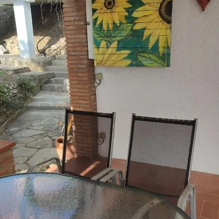 Sol Y Sombra *